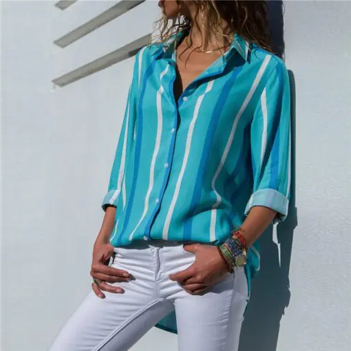 Women's long sleeve Chiffon turtleneck blouse