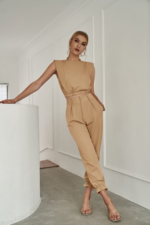 Women Summer Crew Neck Full Pegged  Daily Elegant Regular Pant Set